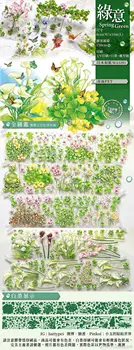 1 Контур PET Лента за Пролетните Зелени Растения 8 смх150 см