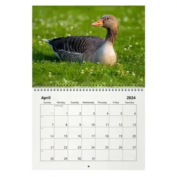 Стенен календар в 2024 година С шарени гъски, стенен календар за 12 месеца, практичен и весел Годишен планер за домашен кабинет